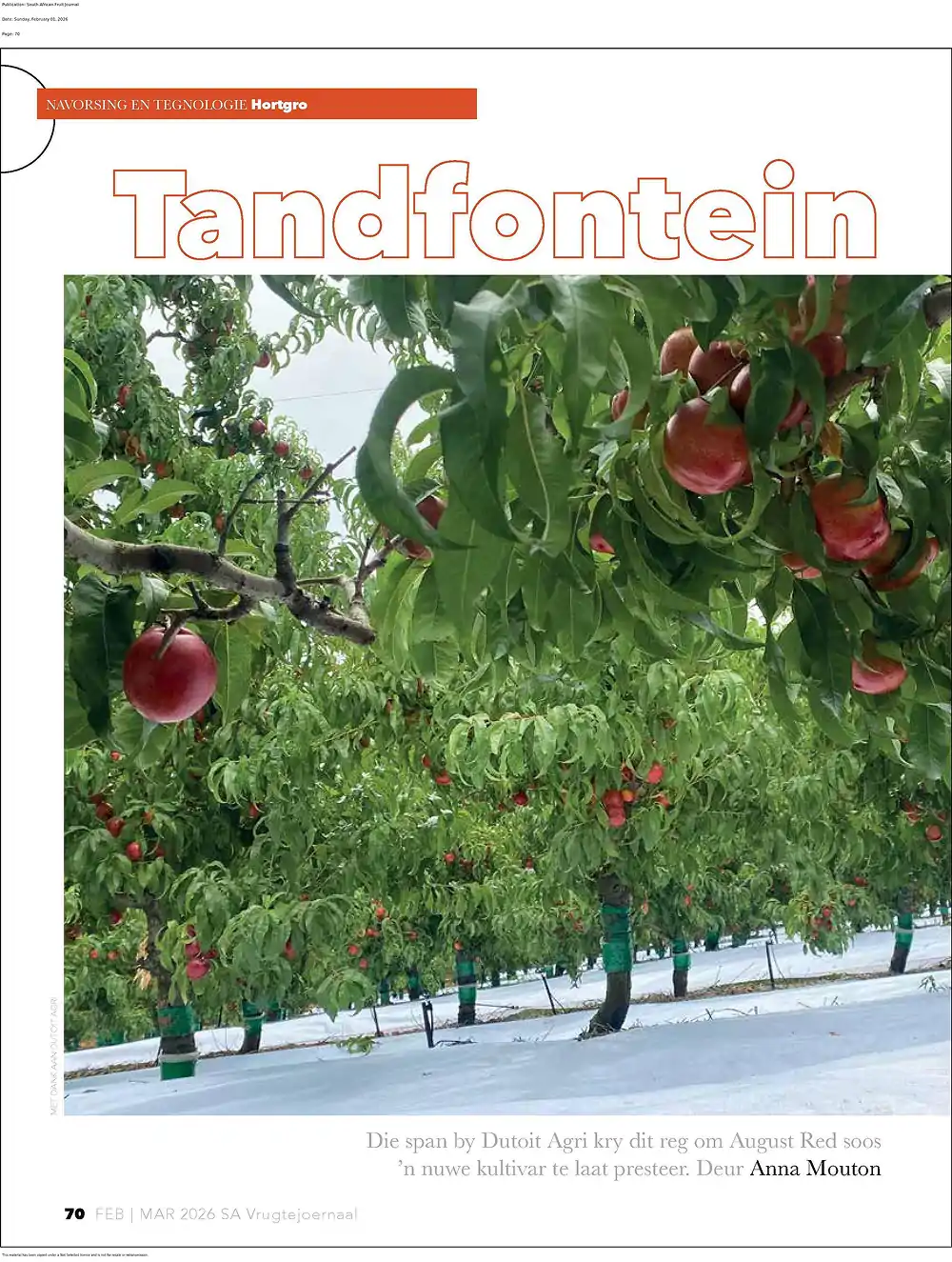 Tandfontein Article - Page 1